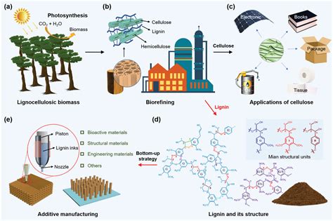  Lignin! Yllättävä materiaali teollisuuden tulevaisuudessa!