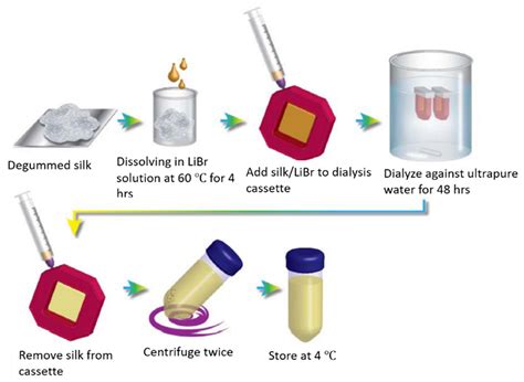  Silk fibroin - Biomateriaali tulevaisuuden proteeseihin ja kudoksiin!